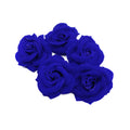 PINCHE ROSA GAMUZA 7.5CM AZUL REY X1UNI